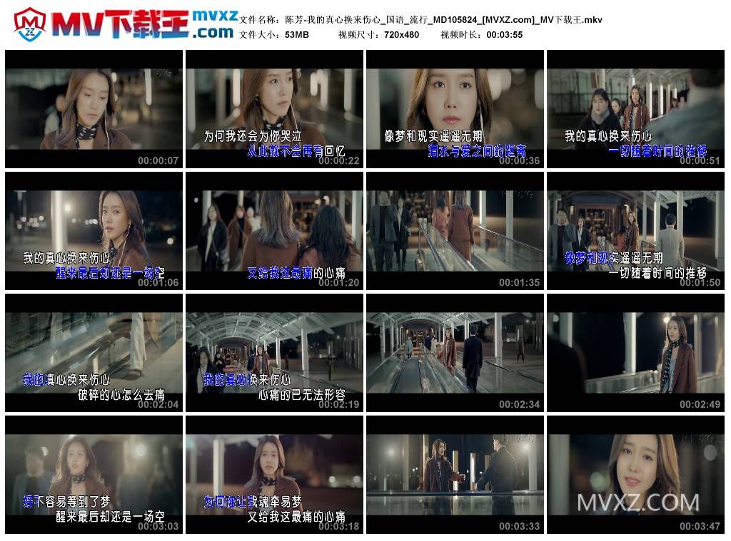 陈芳-我的真心换来伤心_国语_流行_MD105824